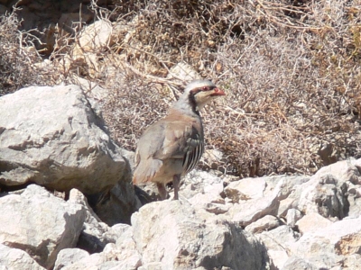 Jagdverbot bleibt bestehen