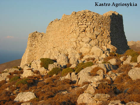 Kastro Agriosykia